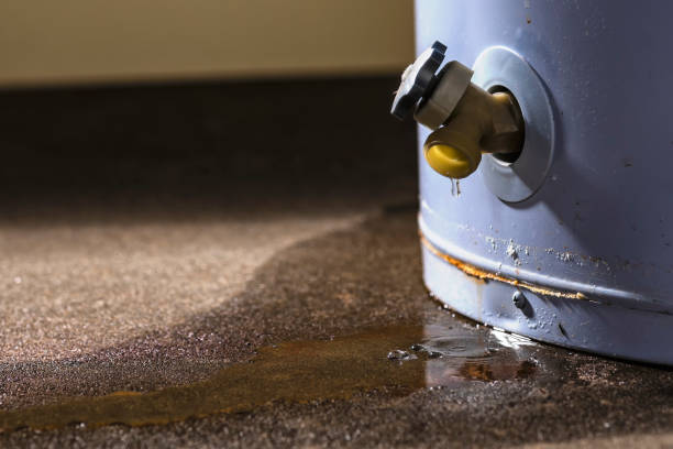 Water damage restoration mold remediation in Brunswick, MD