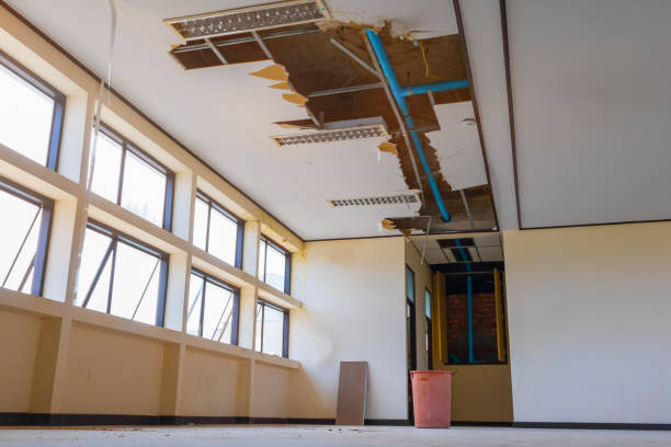 Best Water damage mitigation services  in Brunswick, MD