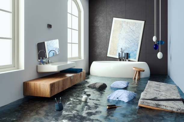 Best Professional water damage repair  in Brunswick, MD