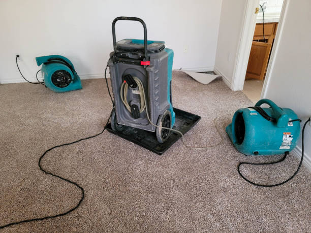 Best Water damage restoration mold remediation  in Brunswick, MD