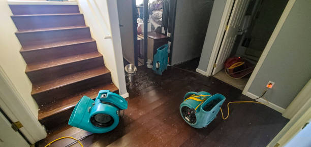 Water damage restoration insurance claims in Brunswick, MD