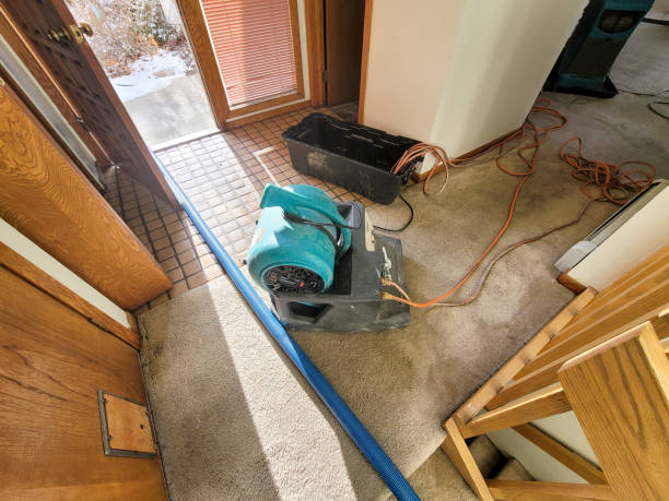 Professional Water damage restoration in Brunswick, MD