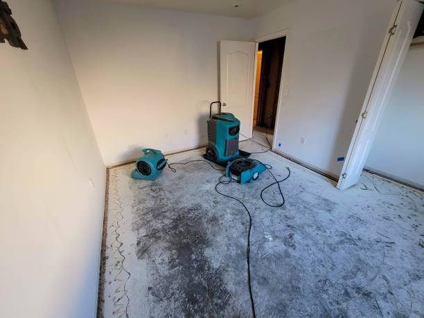 Best Residential water damage restoration  in Brunswick, MD