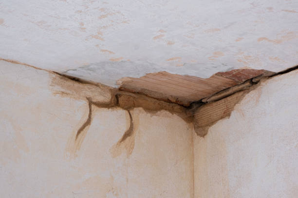 Best Water damage contractors near me  in Brunswick, MD