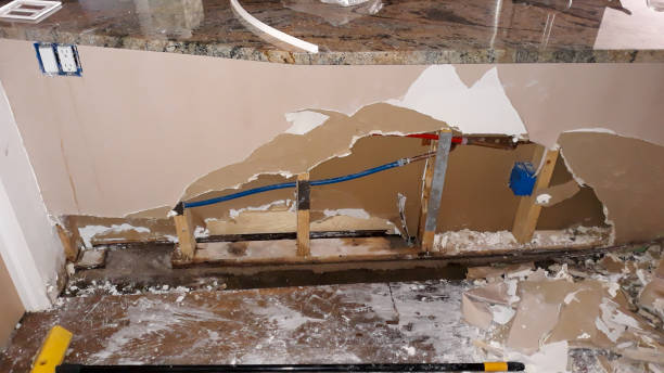 Best Water damage contractors near me  in Brunswick, MD