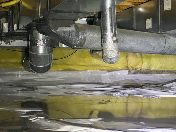 Best Mold removal after water damage  in Brunswick, MD