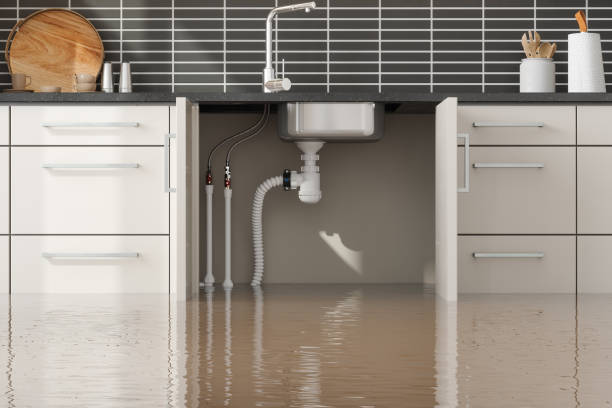 Best Carpet water damage restoration  in Brunswick, MD
