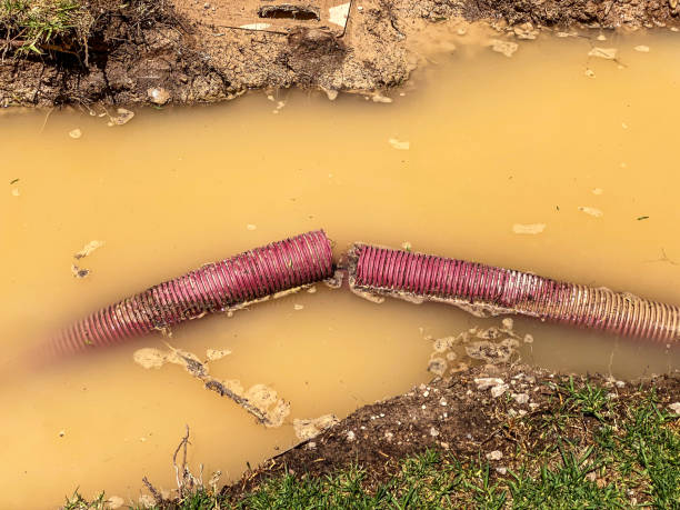 Best Water damage cleanup near me  in Brunswick, MD