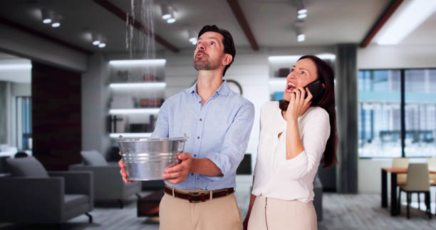 Best Flood restoration services  in Brunswick, MD