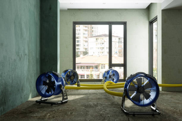 Reliable Brunswick, MD Water damage restoration Solutions