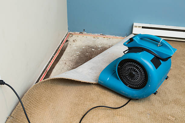 Water damage restoration experts in Brunswick, MD